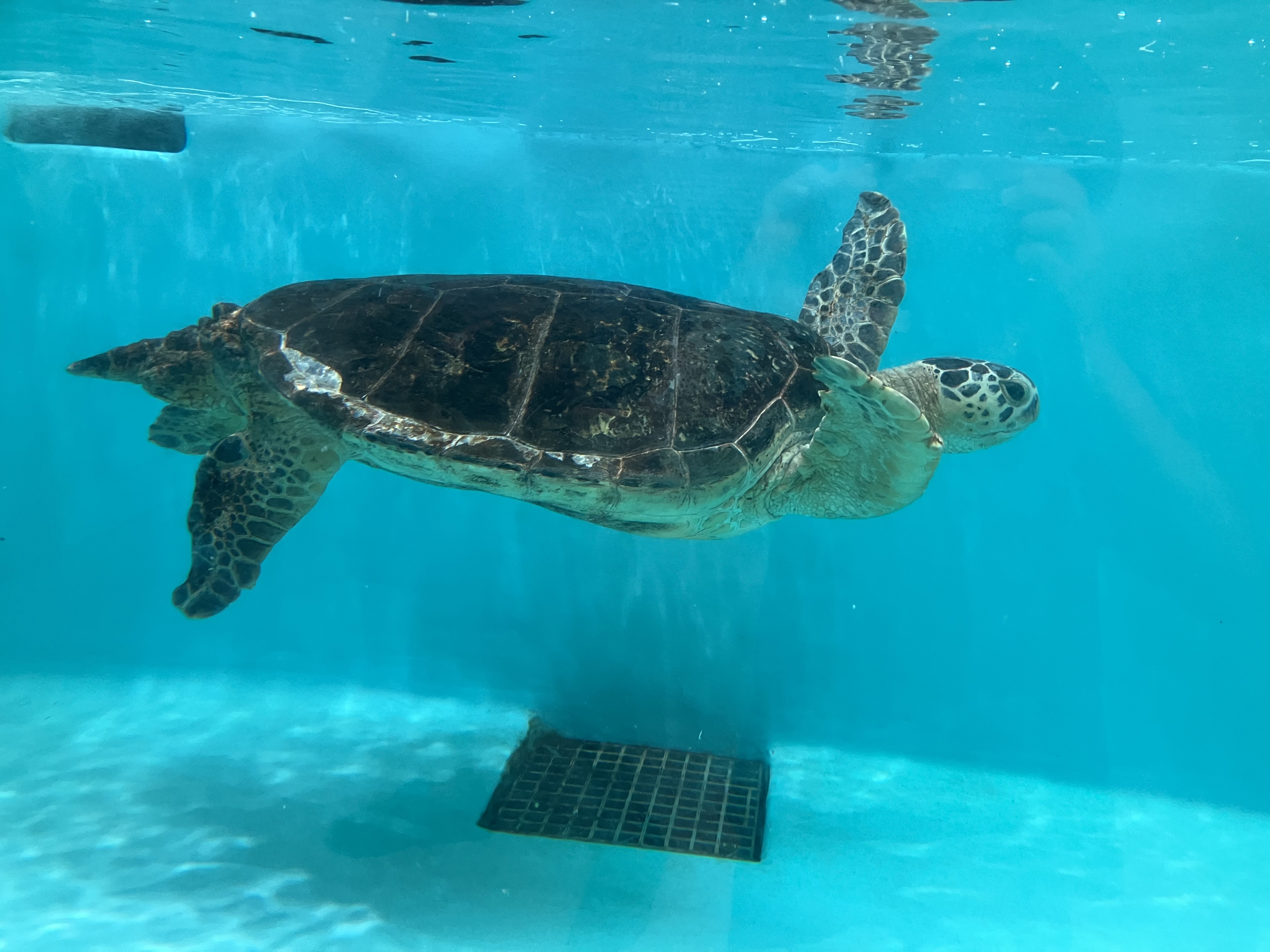 水族館